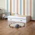 White trundle bed + 2 drawers Ana 105x190cm